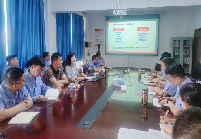 軸研所黨委副書記、紀委書記江瑋到銷售公司調研并講授黨紀專題黨課